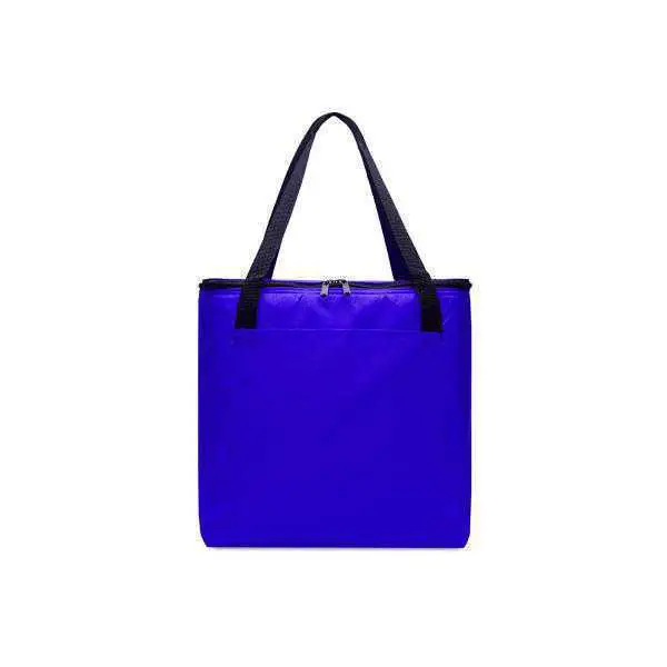 CG1-3965  COOLER ARTIC